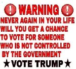 Selected Meme Thumb for vote Trump.jpg (31
KB)